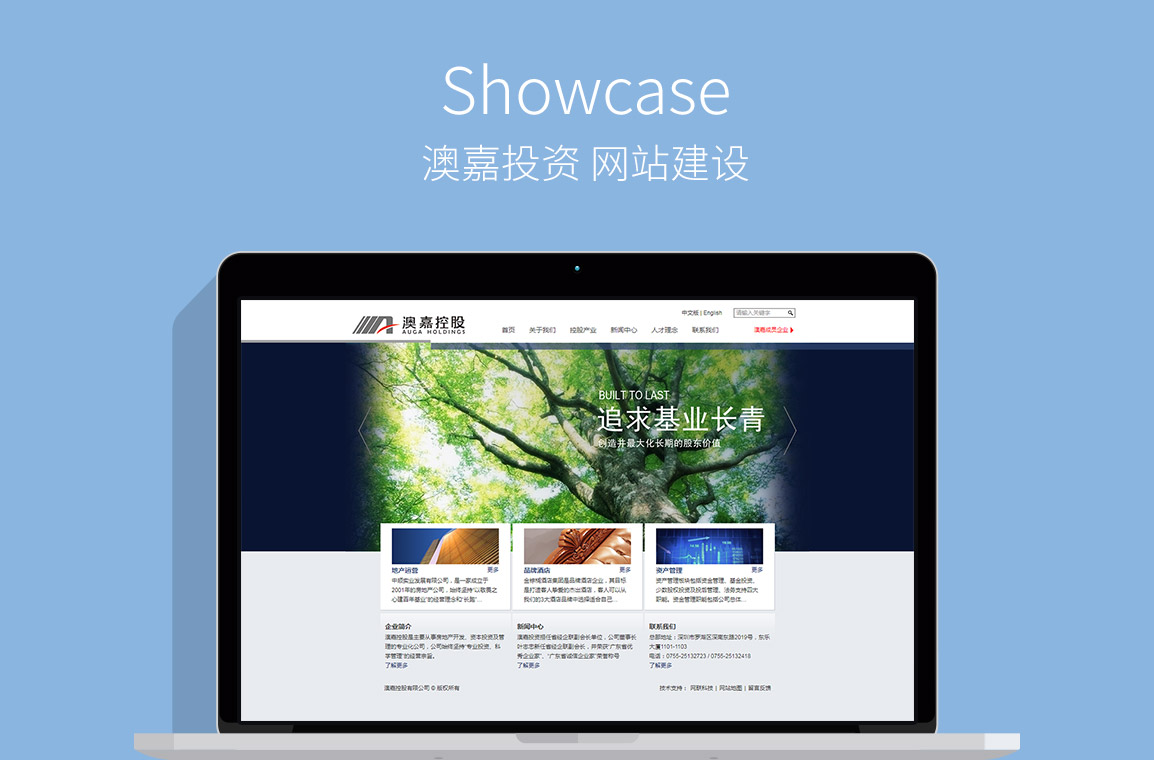 網(wǎng)站建設案例